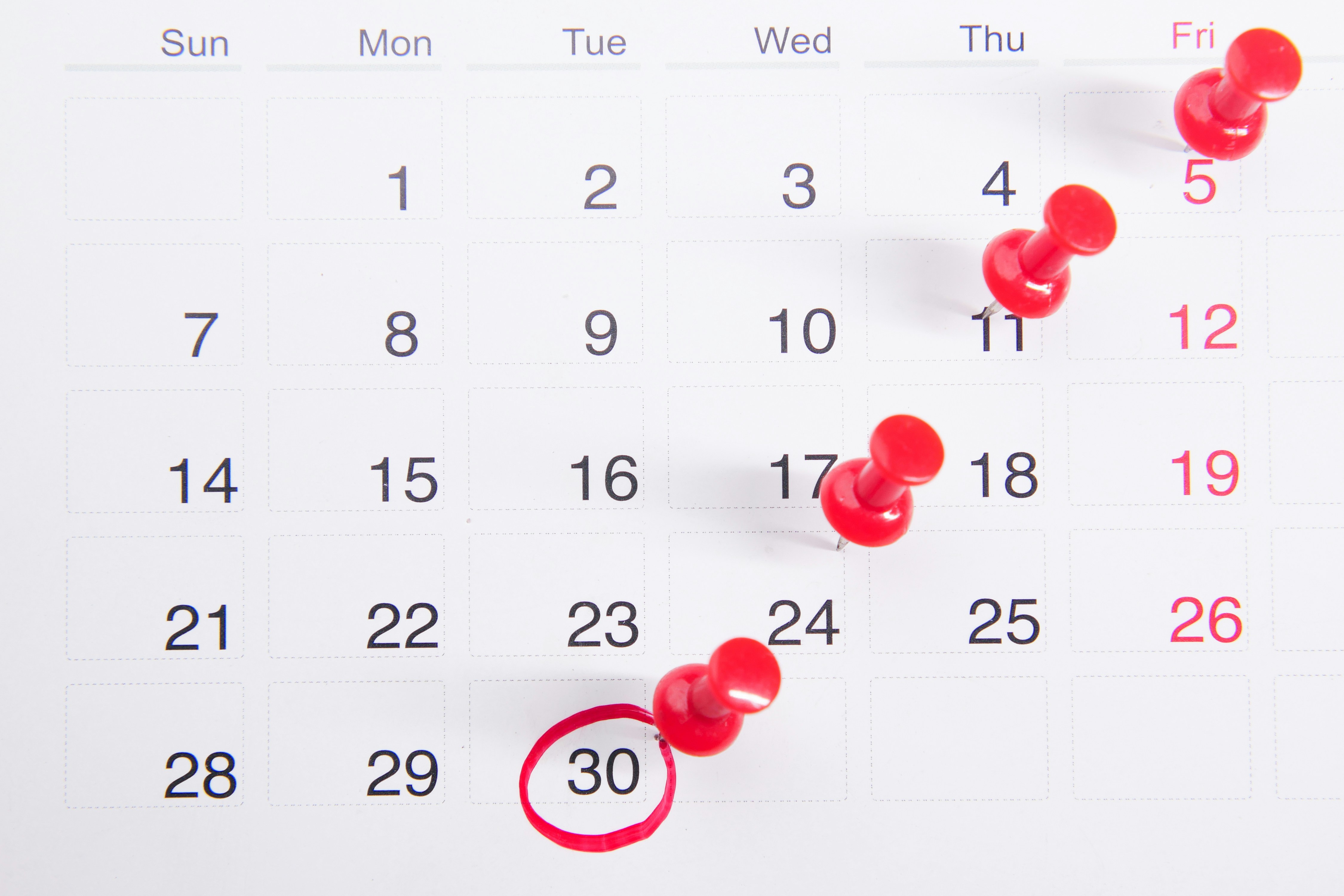 Check the parent benefit payment date