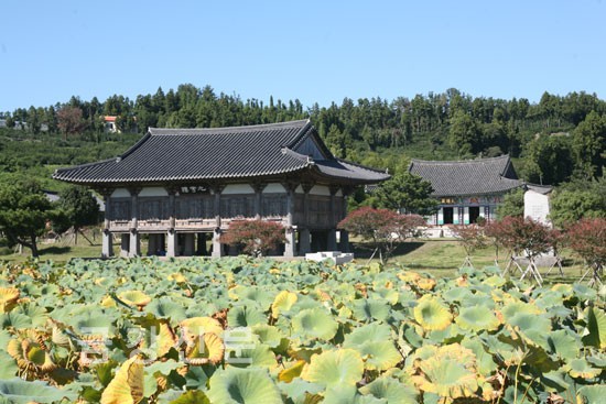 제주 법화사