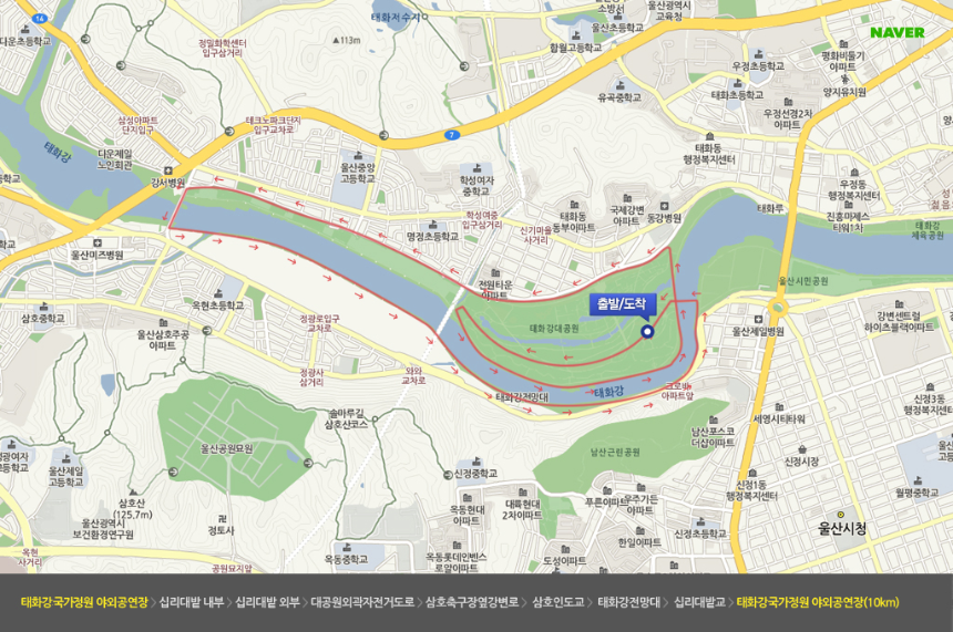 2025 태화강 국제마라톤 – 일정, 코스, 참가 방법 총정리 🏃♂️🌿