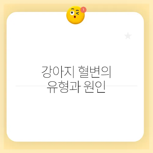 강아지 혈변의 유형과 원인, 해결 방법을 알아보세요