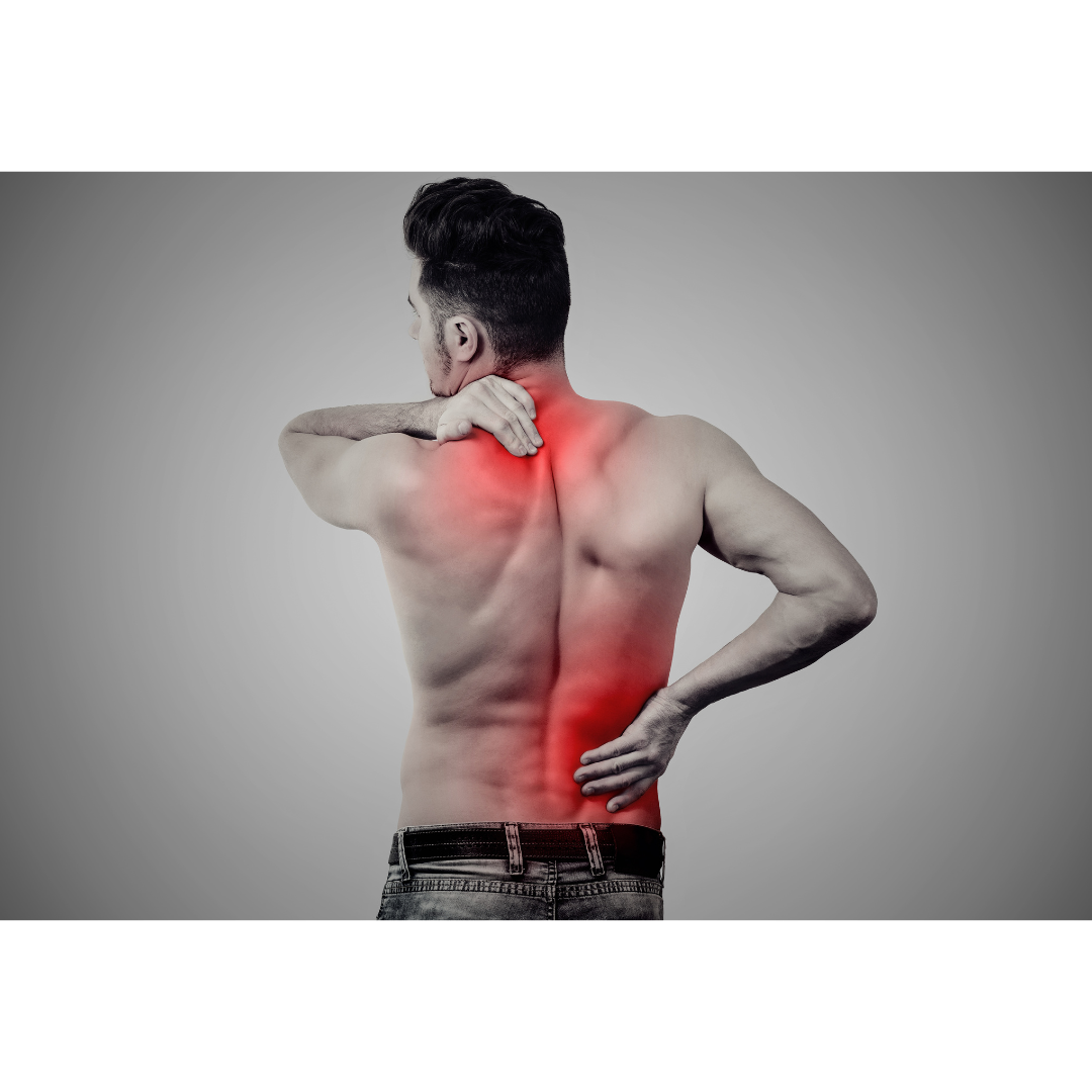 광배근스트레칭