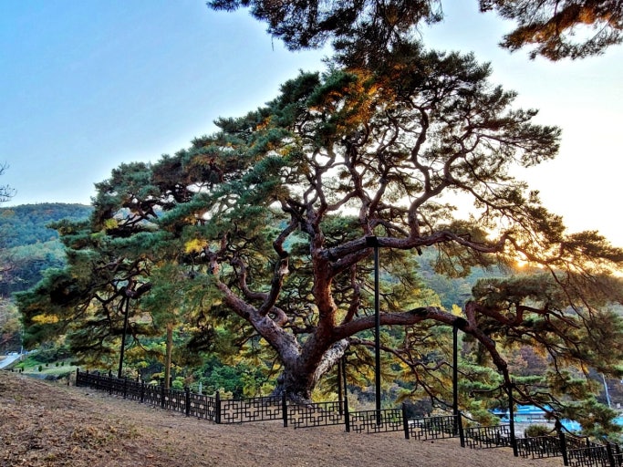 의령 가볼만한곳 베스트10