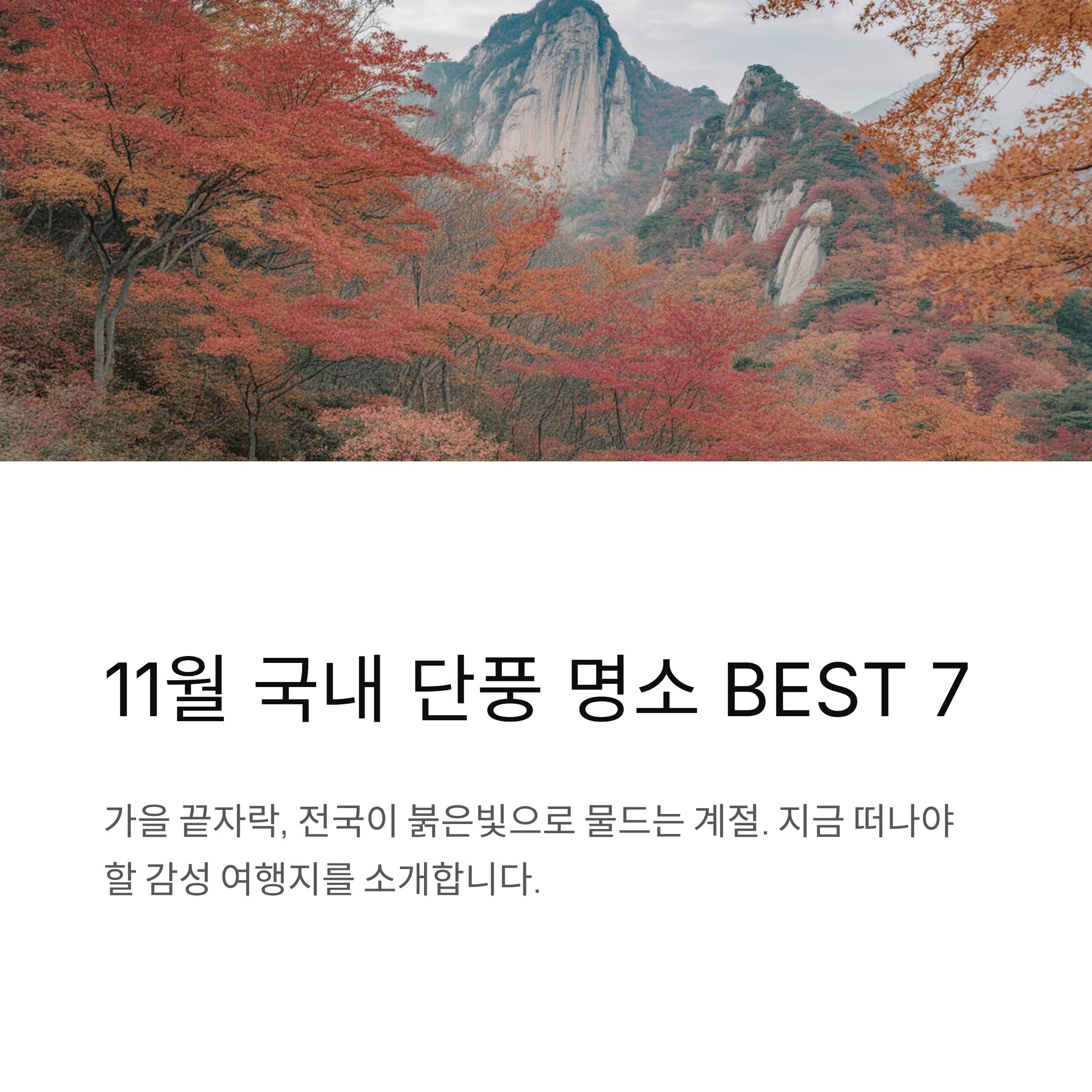 11월 국내 여행 BEST 단풍 명소 미리 알려드립니다