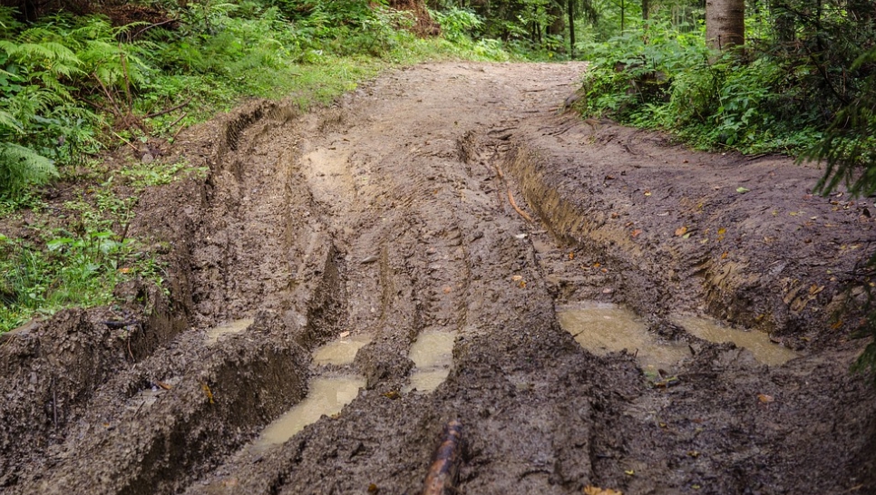 흙 치료를 체험할 수 있는 국내외 여행지 추천