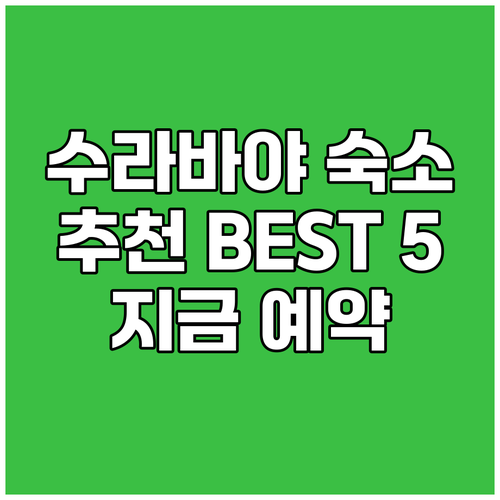 수라바야 공항 근처 숙소 추천 BES