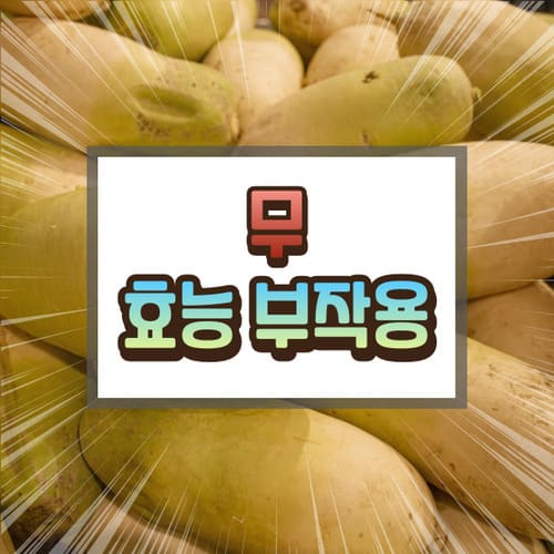 무 효능 부작용 무에 대하여