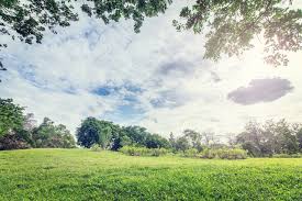 장기요양등급 기준과 신청 절차 완벽 정리|2025 최신 가이드