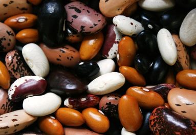 탈모에좋은음식