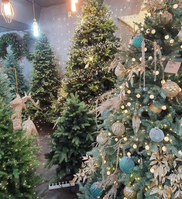 크리스마스 트리