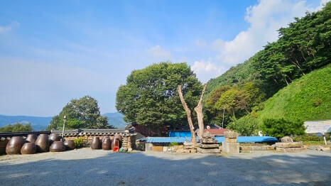 부여 미암사 : 세계 최대 금동 와불상 내부 탐방과 쌀바위 전설 불상 속으로 들어가는 이색 경험