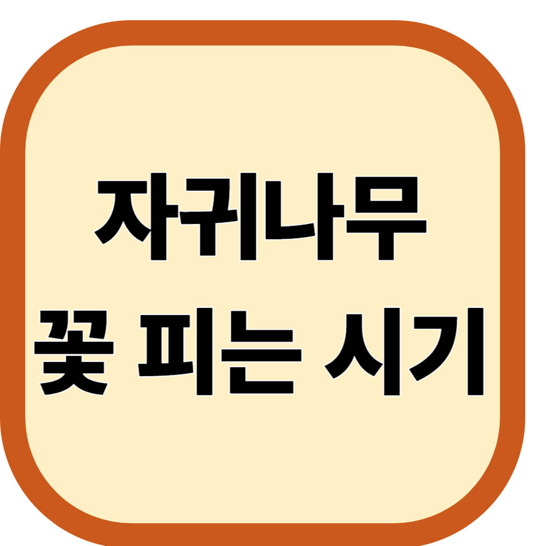 자귀나무 꽃 피는 시기