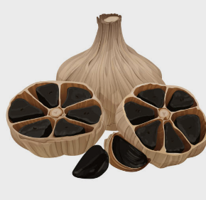 흑마늘 효능 만들기 전기밥솥 복용방법 보관방법 총정리(최신)