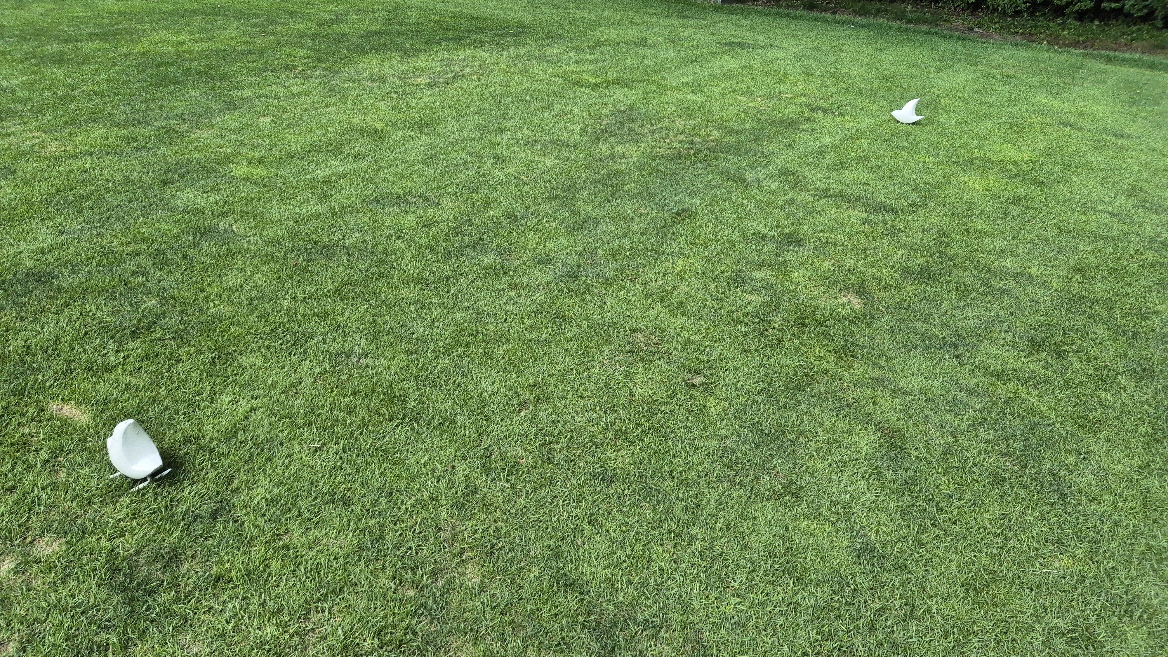 한성cc 오렌지-그린 코스 라운드 후기