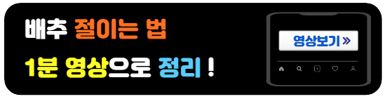 배추소금에절이는법