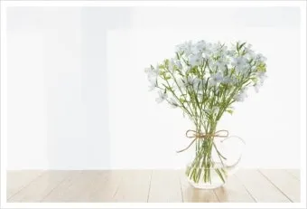 볼테르 인생 명언 철학_8