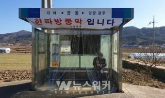 방풍 나무 가지 정리 창틀 보수 베란다 물건 고정_17