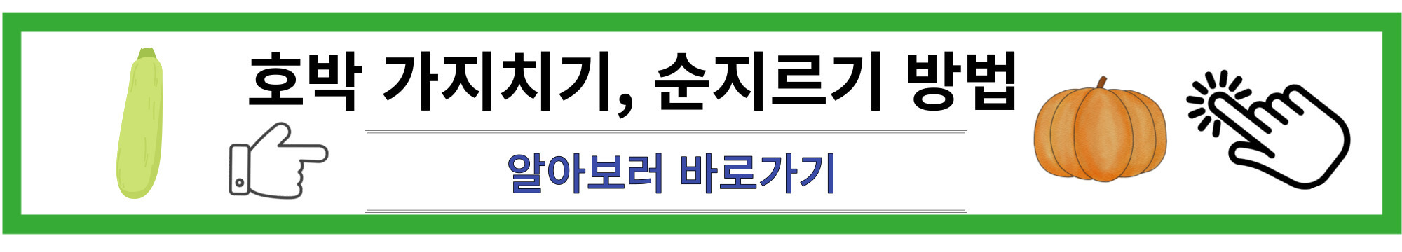 호박 가지치기 순지르기 방법