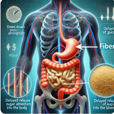 식이섬유가 혈당 흡수를 늦추는 원리
