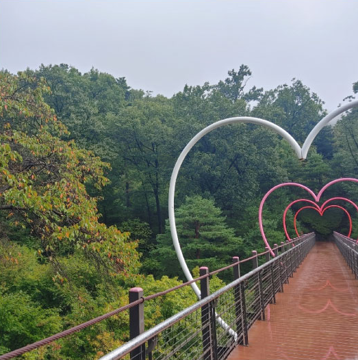 화담숲 예매 방법 주의사항