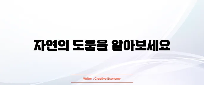 갱년기에 좋은 식품