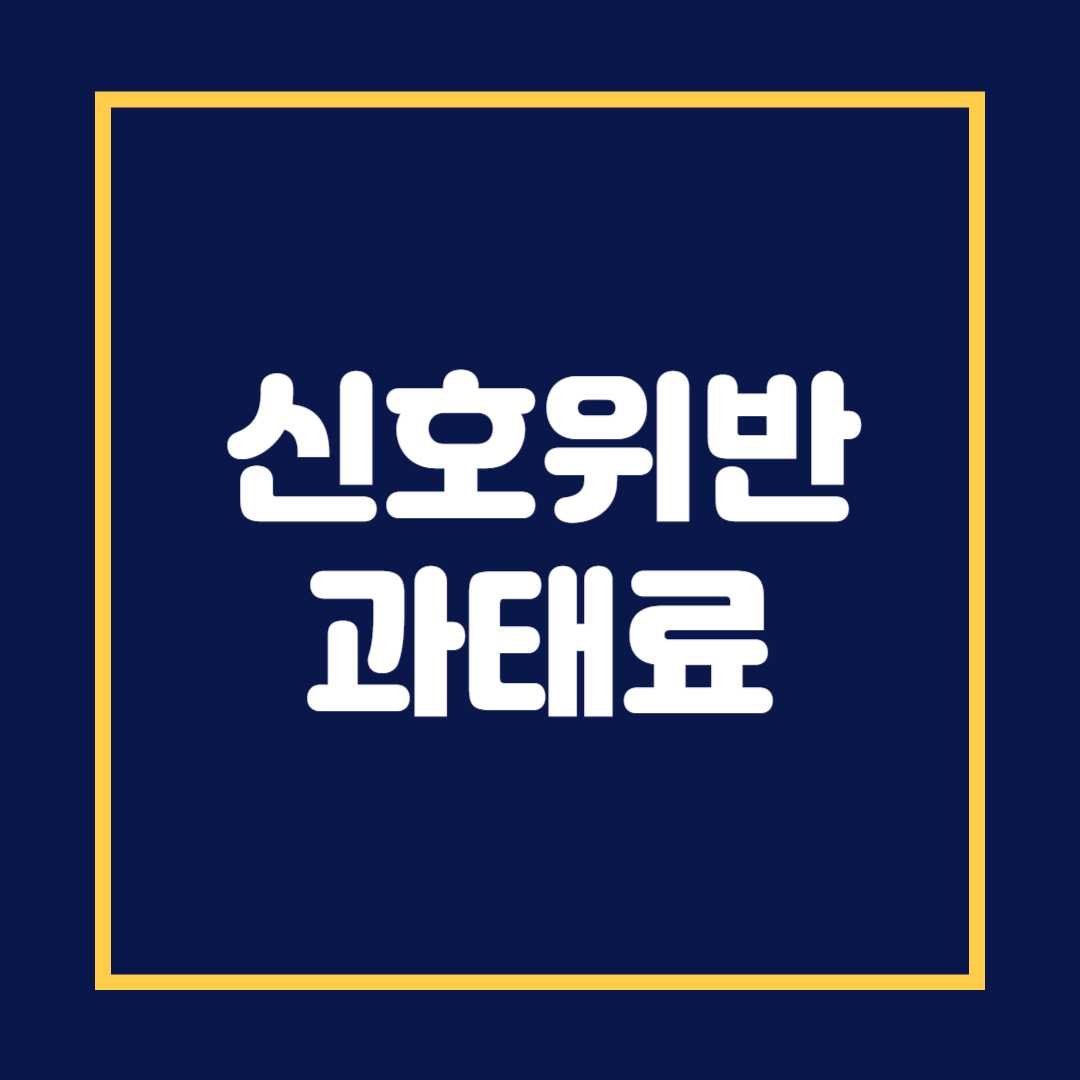 신호위반 과태료