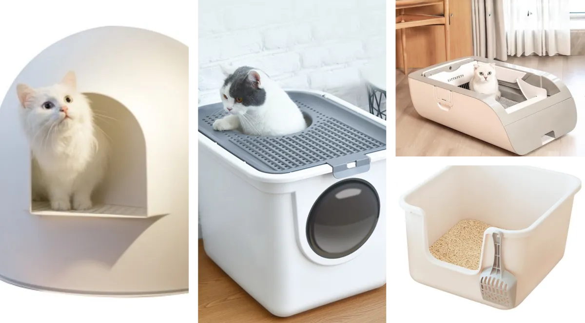 고양이-필수품-화장실-종류