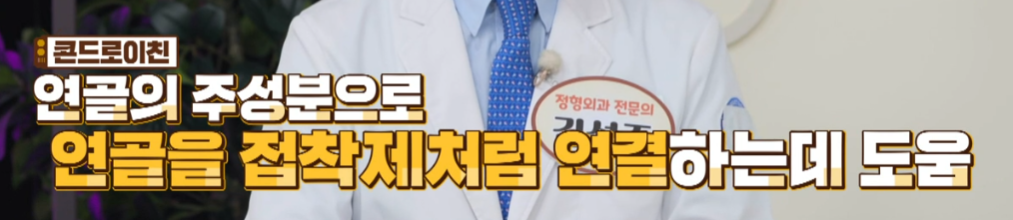 콘드로이친