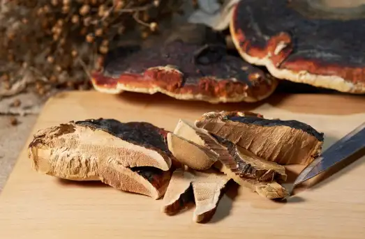 영지버섯 효능 효과 및 부작용 먹는 방법