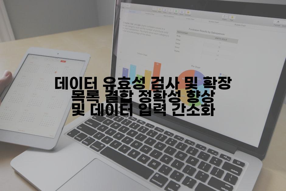 데이터 유효성 검사 및 확장 목록 결합 정확성 향상 및 데이터 입력 간소화