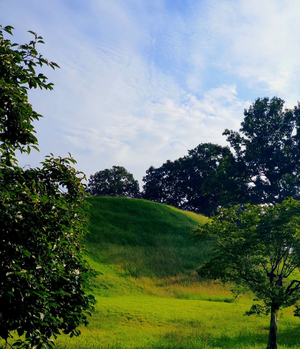 아직-푸릇한-올림픽공원입니다.