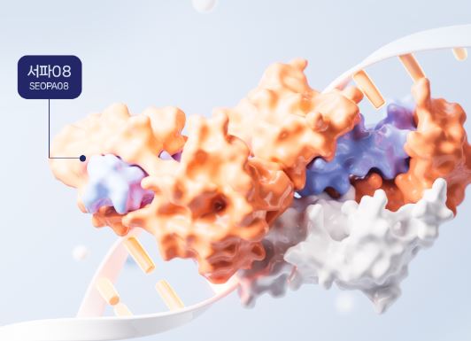 아이서파-성분-특징