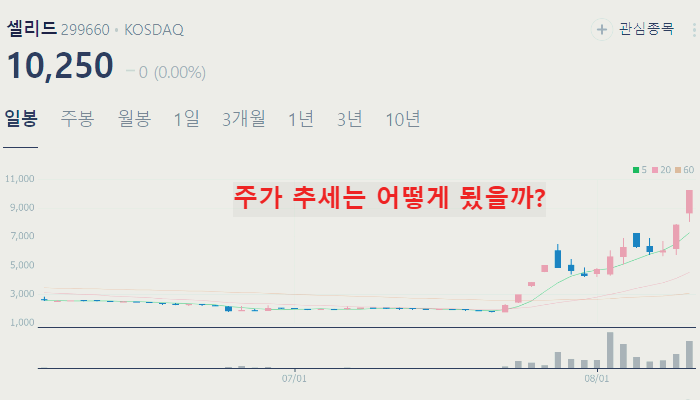제약 바이오 관련주 대장주 TOP10 : 렉라자