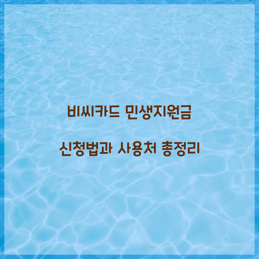 비씨카드 민생지원금