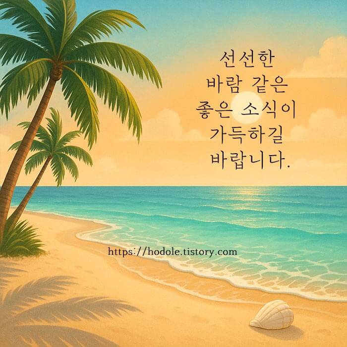 더운날 이미지 모음