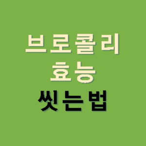 브로콜리-효능-씻는법