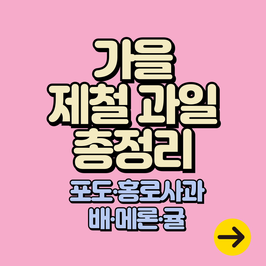 가을 제철 음식 '과일' 총 정리 (효능, 섭취방법)ㅣ포도, 홍로사과, 모과, 망고, 배, 석류 등