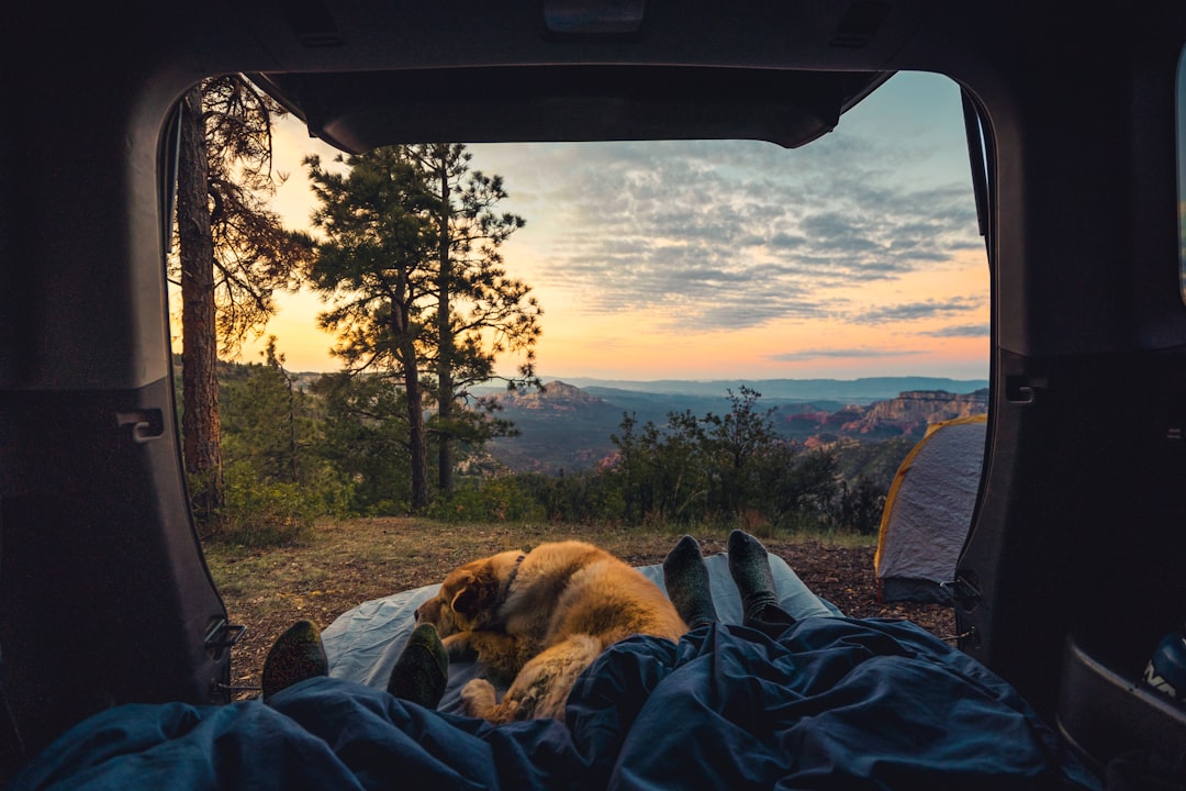Camping