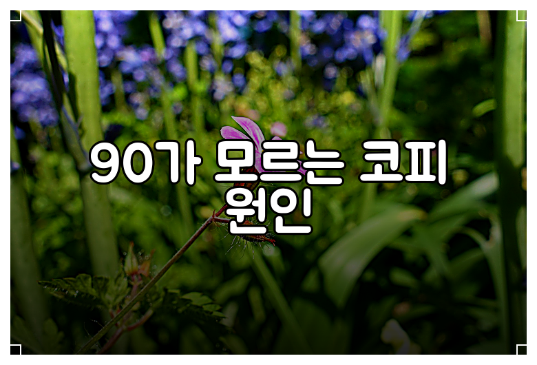 90가 모르는 코피 원인