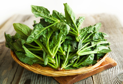 시금치 사진