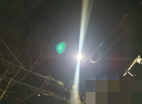 밝게-켜진-가로등