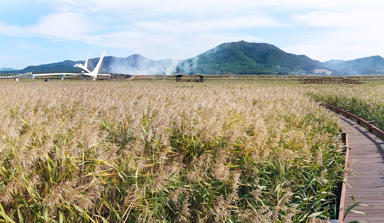 전남 강진 반값 여행 관광 할인 지원금 신청 방법