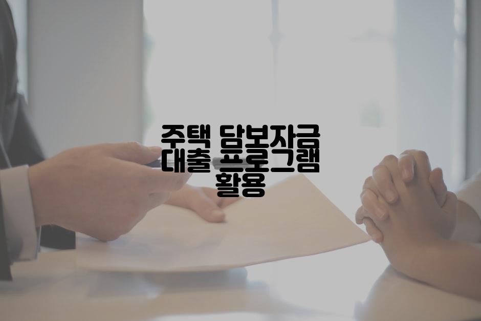 주택 담보자금 대출 프로그램 활용