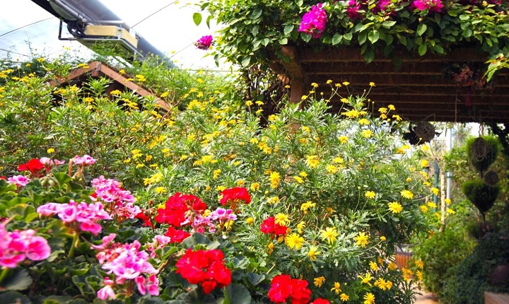 허브 식물박물관