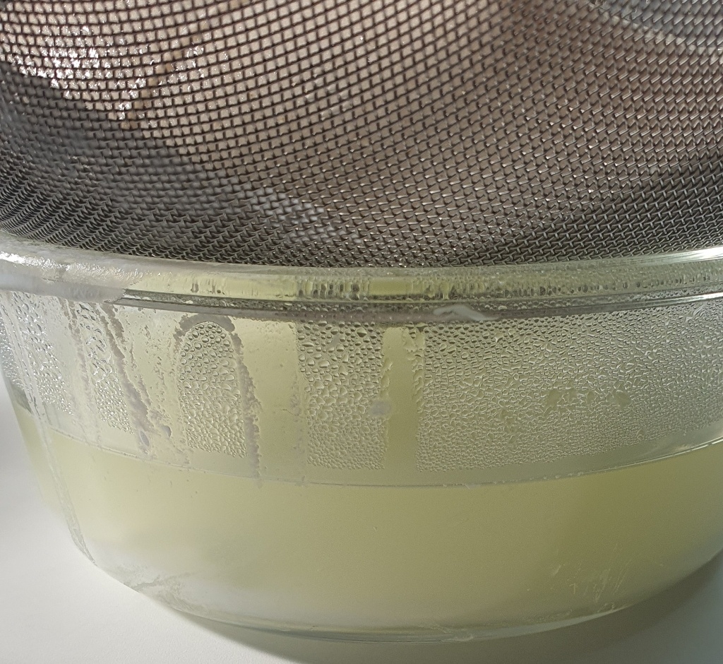 발효가 완료된 요거트 유청 바지는 모습