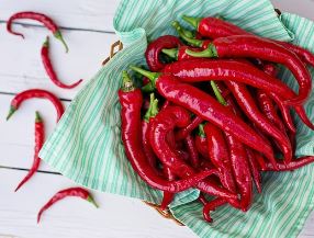 고추가루 보관법 고춧가루 유통기한