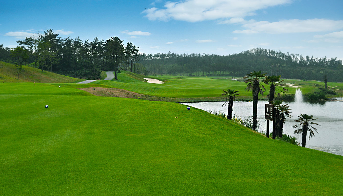 바다가 어우러진 해남 '파인비치cc 골프장' 소개