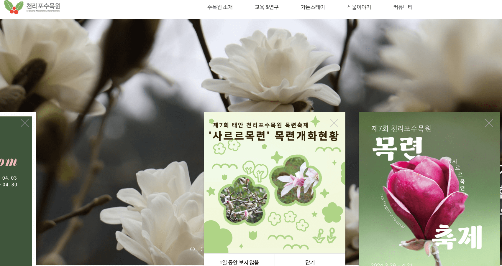 전국 봄꽃 축제