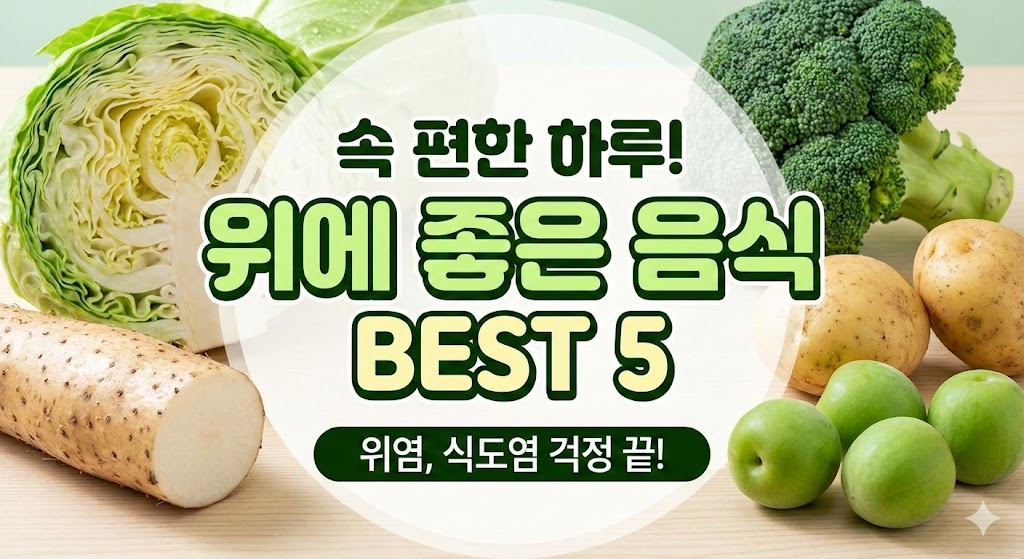 위에 좋은 음식