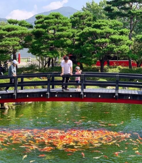 베어트리파크 단풍축제