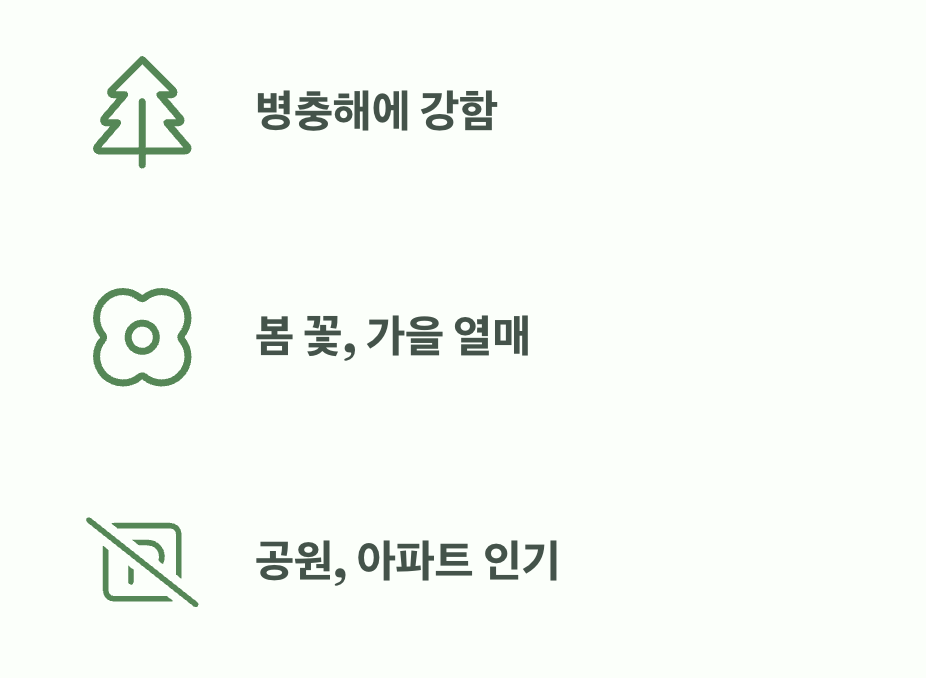 오해를 넘어, 사랑받는 조경수로
